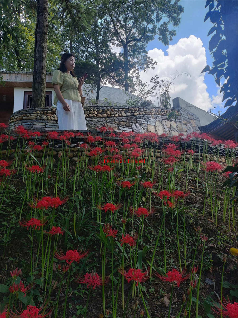 乌当区偏坡乡房东直租山庄 1200平方